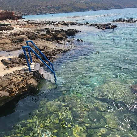 Paradise Wait Sophia