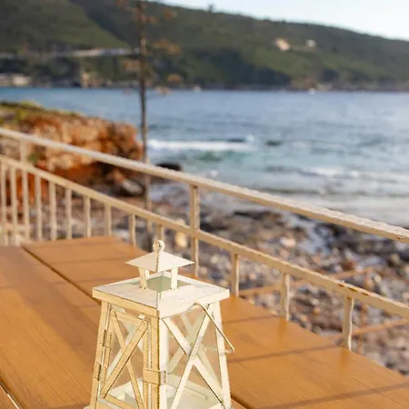 Paradise Wait Sophia