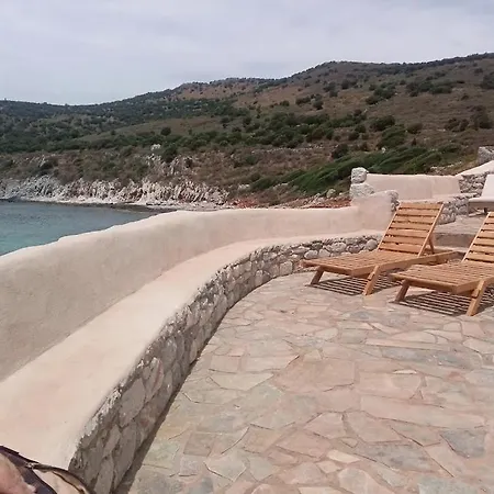 Paradise Wait Sophia