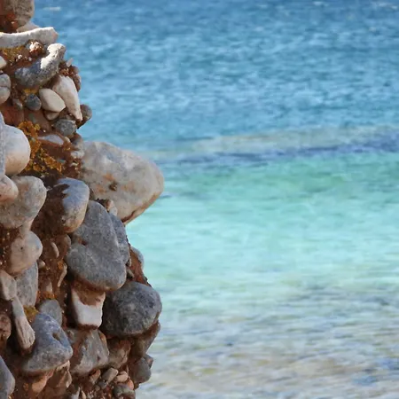 Paradise Wait Sophia