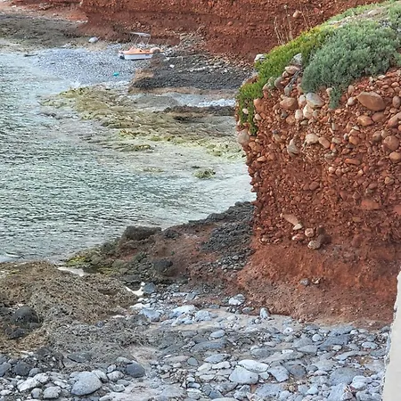 Paradise Wait Sophia