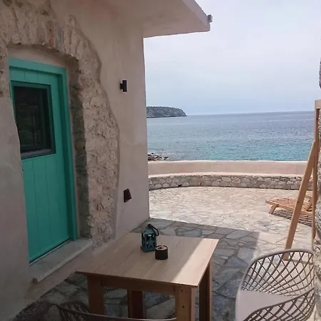 Paradise Wait Sophia *