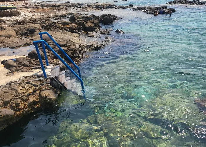 Paradise Wait Sophia