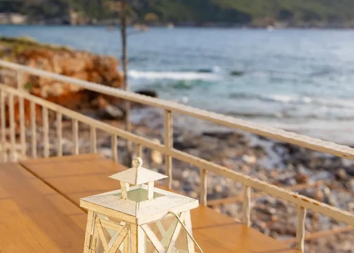 Paradise Wait Sophia