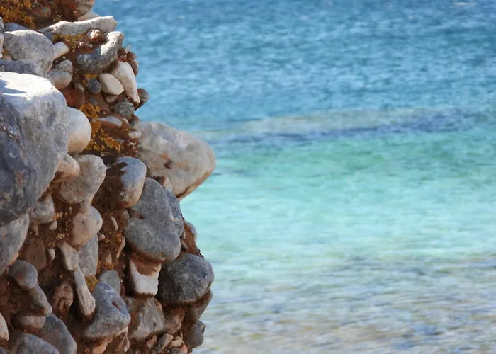 Paradise Wait Sophia