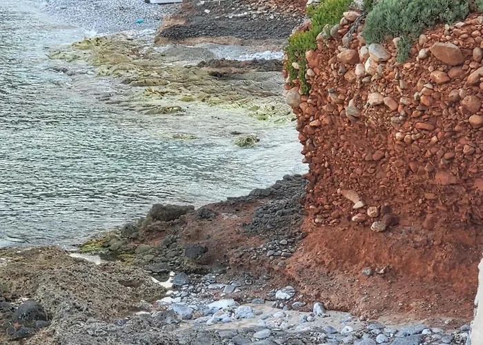 Paradise Wait Sophia