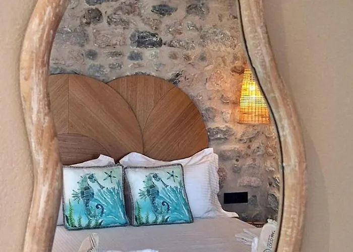 Paradise Wait Sophia